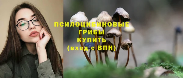 тгк Михайловка