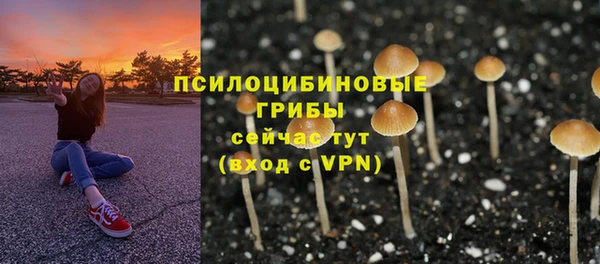 тгк Михайловка